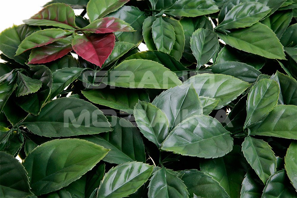 Трава 052285 MZCGZ-06071/MZ188002A серия Grass