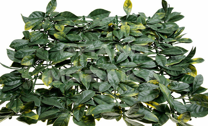 Трава 052284 MZCGZ-06090/MZ188006A серия Grass